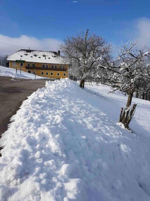 Ferienhof Am Landsberg Obergrünburg Eksteriør bilde